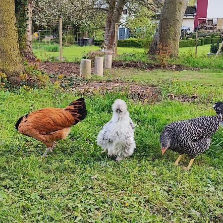 Ferienwohnung Raeuberhoehle Alterkülz Esterno foto